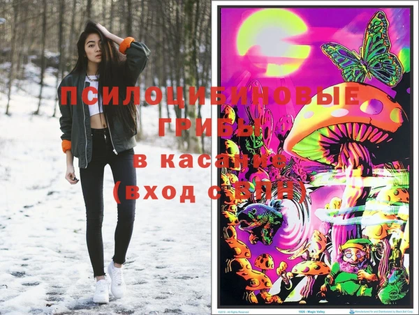 ECSTASY Абинск