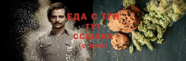 тгк Абаза