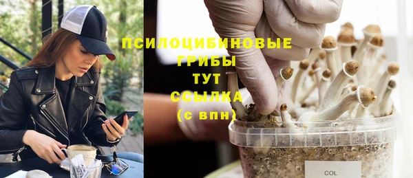 ECSTASY Абинск