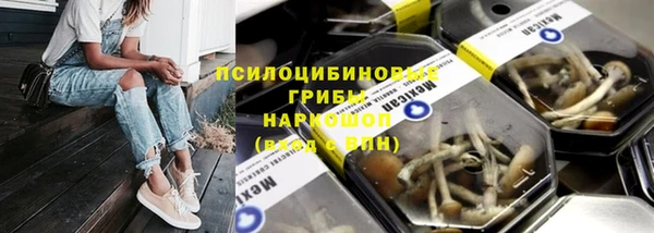 тгк Абаза